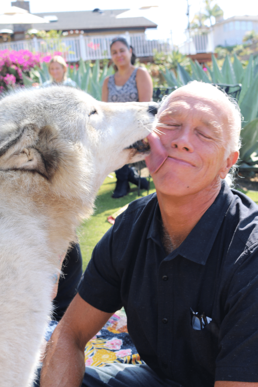 wolf therapy
